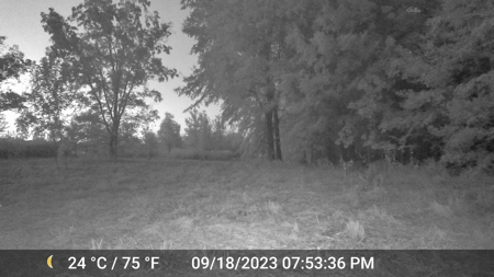 40 ACRES PRIME HAY MEADOW/HUNTING LAND IN SOPER for SALE - image 18