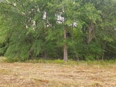 40 ACRES PRIME HAY MEADOW/HUNTING LAND IN SOPER for SALE - image 15