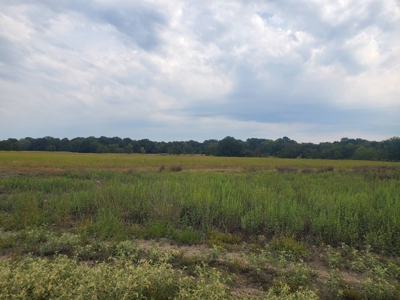 40 ACRES PRIME HAY MEADOW/HUNTING LAND IN SOPER for SALE - image 8