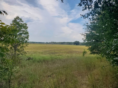 40 ACRES PRIME HAY MEADOW/HUNTING LAND IN SOPER for SALE - image 13