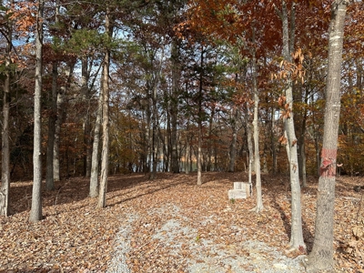 The Chalet at Greenwood Point On Kerr Lake, VA - image 25
