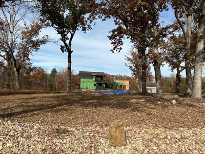 The Chalet at Greenwood Point On Kerr Lake, VA - image 10