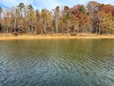 The Chalet at Greenwood Point On Kerr Lake, VA - image 32