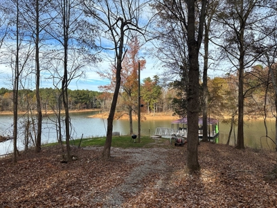 The Chalet at Greenwood Point On Kerr Lake, VA - image 28