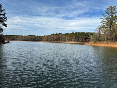 The Chalet at Greenwood Point On Kerr Lake, VA - image 31