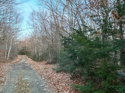 Affordable Off-grid Parcel - image 28