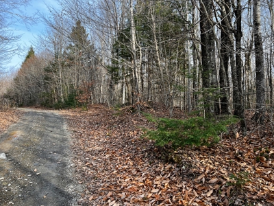 Affordable Off-grid Parcel - image 15