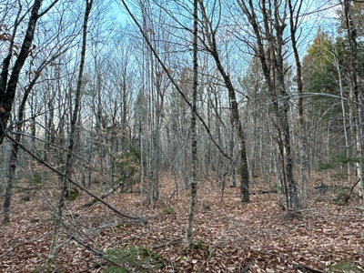 Affordable Off-grid Parcel - image 25