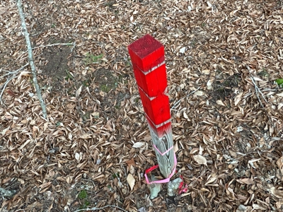 Affordable Off-grid Parcel - image 16