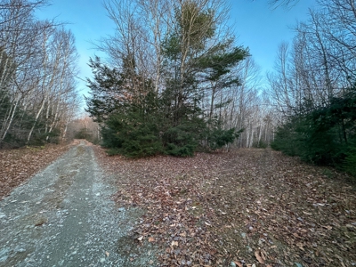 Affordable Off-grid Parcel - image 27