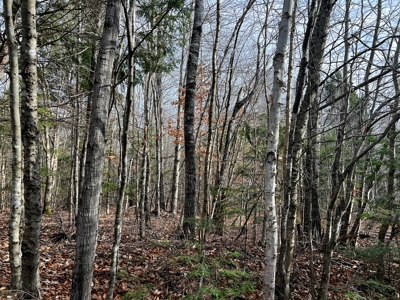 Affordable Off-grid Parcel - image 6