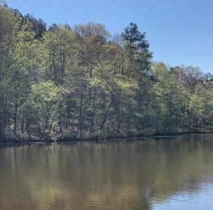 "Dream Lot: Songbird Creek Paradise!" Southern VA - image 4