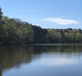 "Dream Lot: Songbird Creek Paradise!" Southern VA - image 5