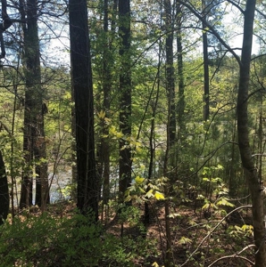 "Dream Lot: Songbird Creek Paradise!" Southern VA - image 9