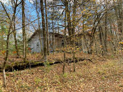 Secluded Cabin On Coon Creek - image 8