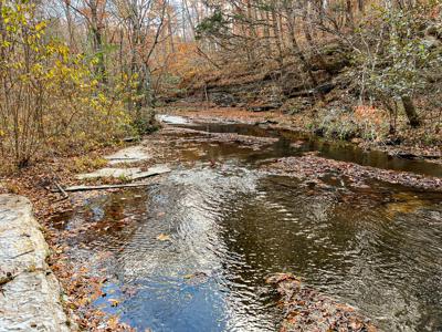 Secluded Cabin On Coon Creek - image 7