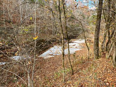 Secluded Cabin On Coon Creek - image 6