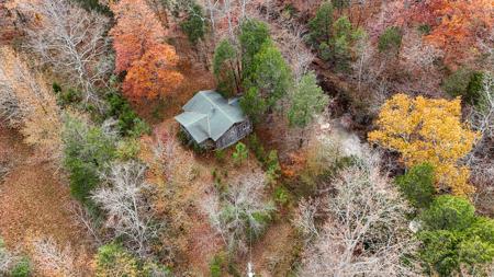 Secluded Cabin On Coon Creek - image 11