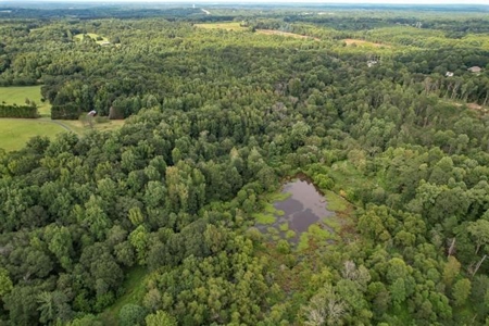 Land For Sale with Pond and Pasture in Woodruff, SC - image 14