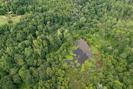 Land For Sale with Pond and Pasture in Woodruff, SC - image 15