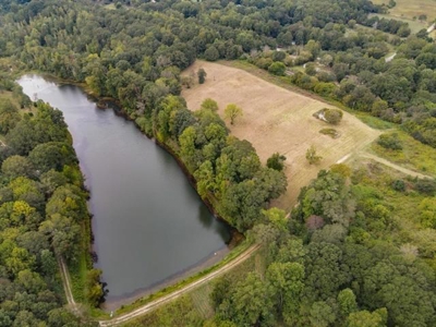 Land For Sale with Pond and Pasture in Woodruff, SC - image 8