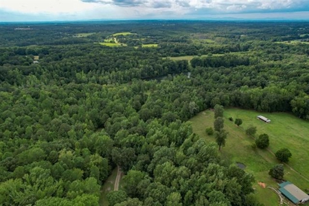Land For Sale with Pond and Pasture in Woodruff, SC - image 11