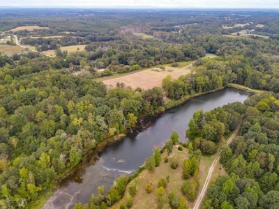 Land For Sale with Pond and Pasture in Woodruff, SC - image 6