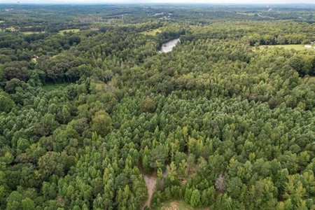 Land For Sale with Pond and Pasture in Woodruff, SC - image 1