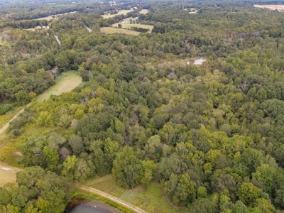 Land For Sale with Pond and Pasture in Woodruff, SC - image 23