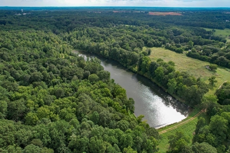Land For Sale with Pond and Pasture in Woodruff, SC - image 3