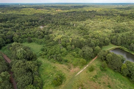 Land For Sale with Pond and Pasture in Woodruff, SC - image 13