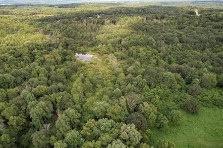 Land For Sale with Pond and Pasture in Woodruff, SC - image 17