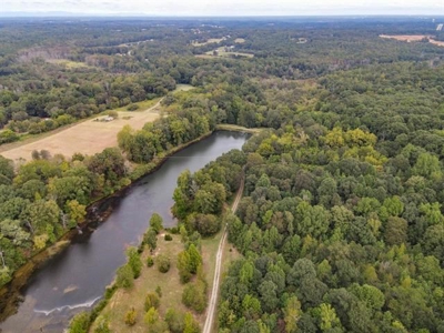 Land For Sale with Pond and Pasture in Woodruff, SC - image 7