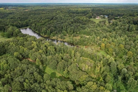 Land For Sale with Pond and Pasture in Woodruff, SC - image 21