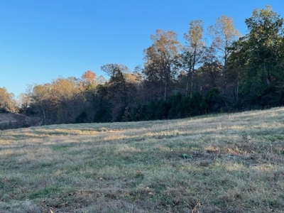 Land For Sale in Ravenden, Arkansas - image 7