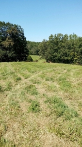 Land For Sale in Ravenden, Arkansas - image 3