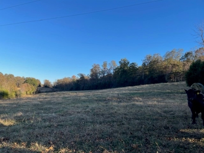 Land For Sale in Ravenden, Arkansas - image 5