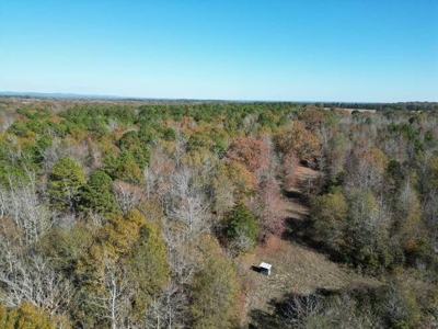80 Acre Rec Land With Old Hunting Cabin, And Utilities! - image 38