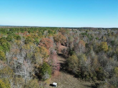 80 Acre Rec Land With Old Hunting Cabin, And Utilities! - image 25