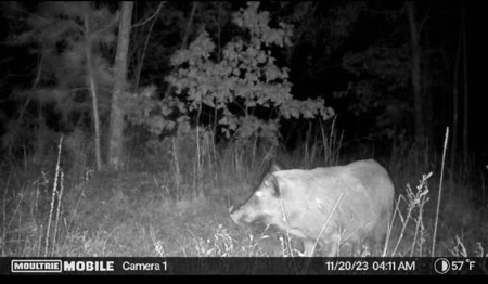 80 Acre Rec Land With Old Hunting Cabin, And Utilities! - image 36