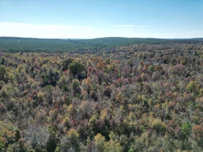 80 Acre Rec Land With Old Hunting Cabin, And Utilities! - image 31
