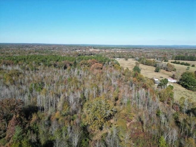 80 Acre Rec Land With Old Hunting Cabin, And Utilities! - image 30