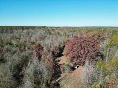 80 Acre Rec Land With Old Hunting Cabin, And Utilities! - image 24