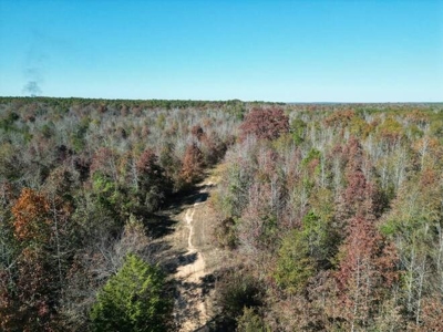 80 Acre Rec Land With Old Hunting Cabin, And Utilities! - image 39