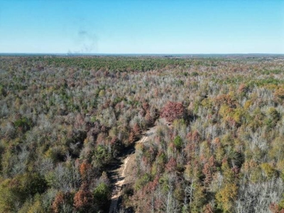 80 Acre Rec Land With Old Hunting Cabin, And Utilities! - image 23
