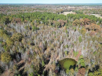 80 Acre Rec Land With Old Hunting Cabin, And Utilities! - image 19