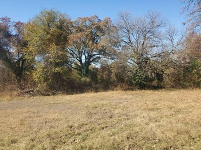 80 Acre Rec Land With Old Hunting Cabin, And Utilities! - image 13