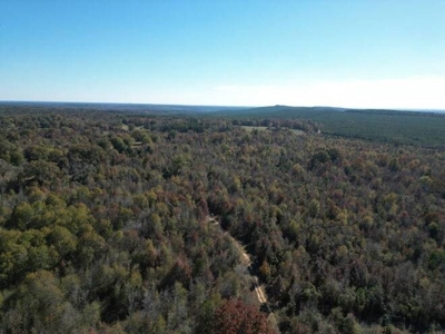 80 Acre Rec Land With Old Hunting Cabin, And Utilities! - image 20