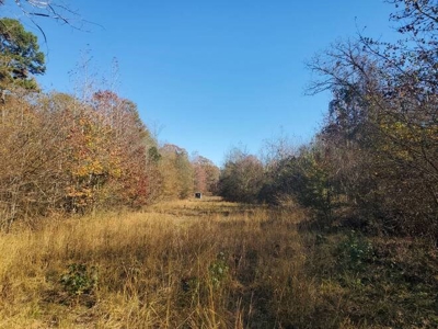 80 Acre Rec Land With Old Hunting Cabin, And Utilities! - image 8