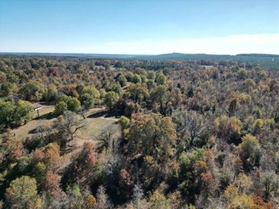 80 Acre Rec Land With Old Hunting Cabin, And Utilities! - image 21